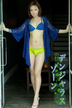 国家宝藏之觐天宝盒